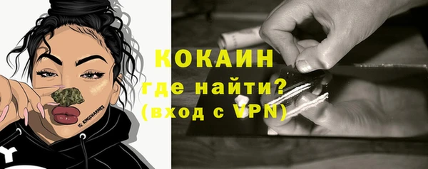 тгк Алексин