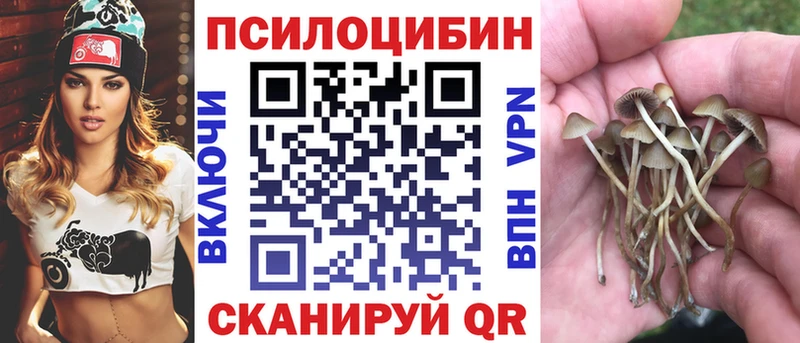 Псилоцибиновые грибы Psilocybe  сколько стоит  Мураши 